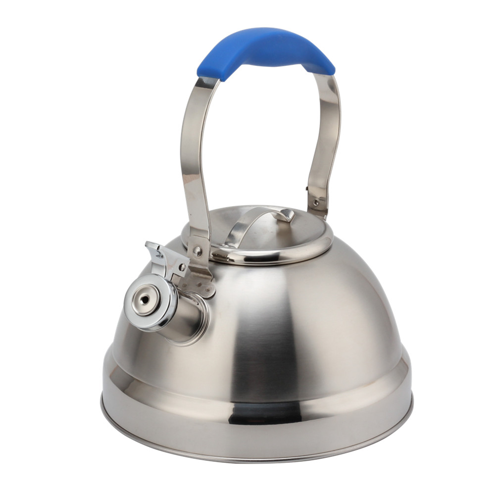 Stainless Steel Whistling Kettle - Tea Kettle for Stove - Blue Handle