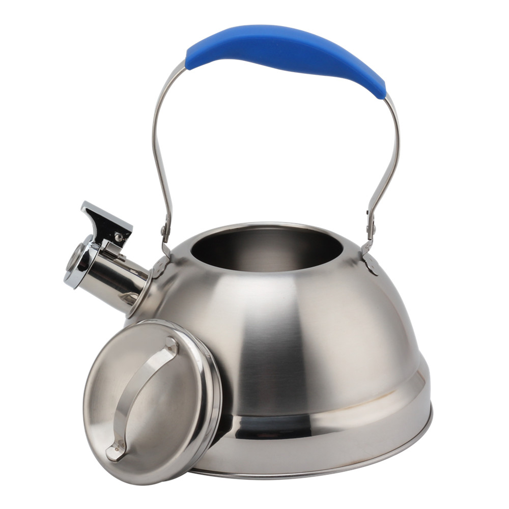 Stainless Steel Whistling Kettle - Tea Kettle for Stove - Blue Handle