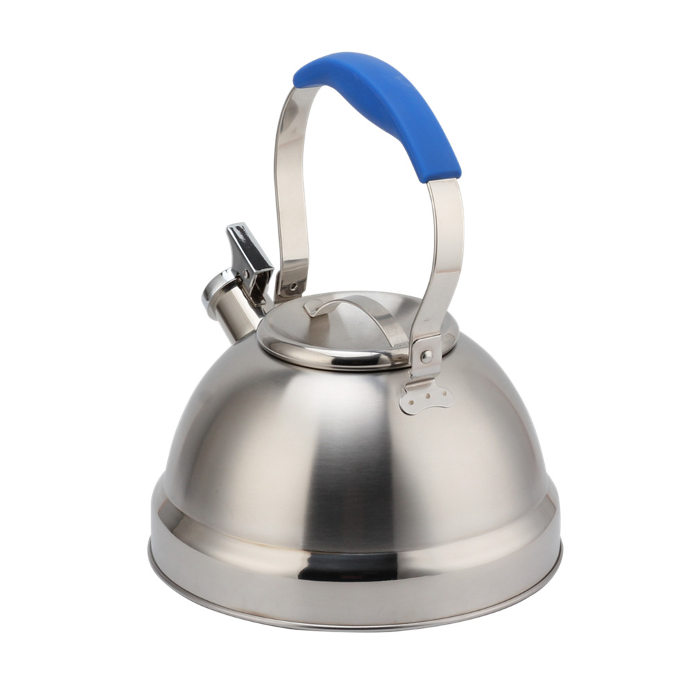 Stainless Steel Whistling Kettle - Tea Kettle for Stove - Blue Handle