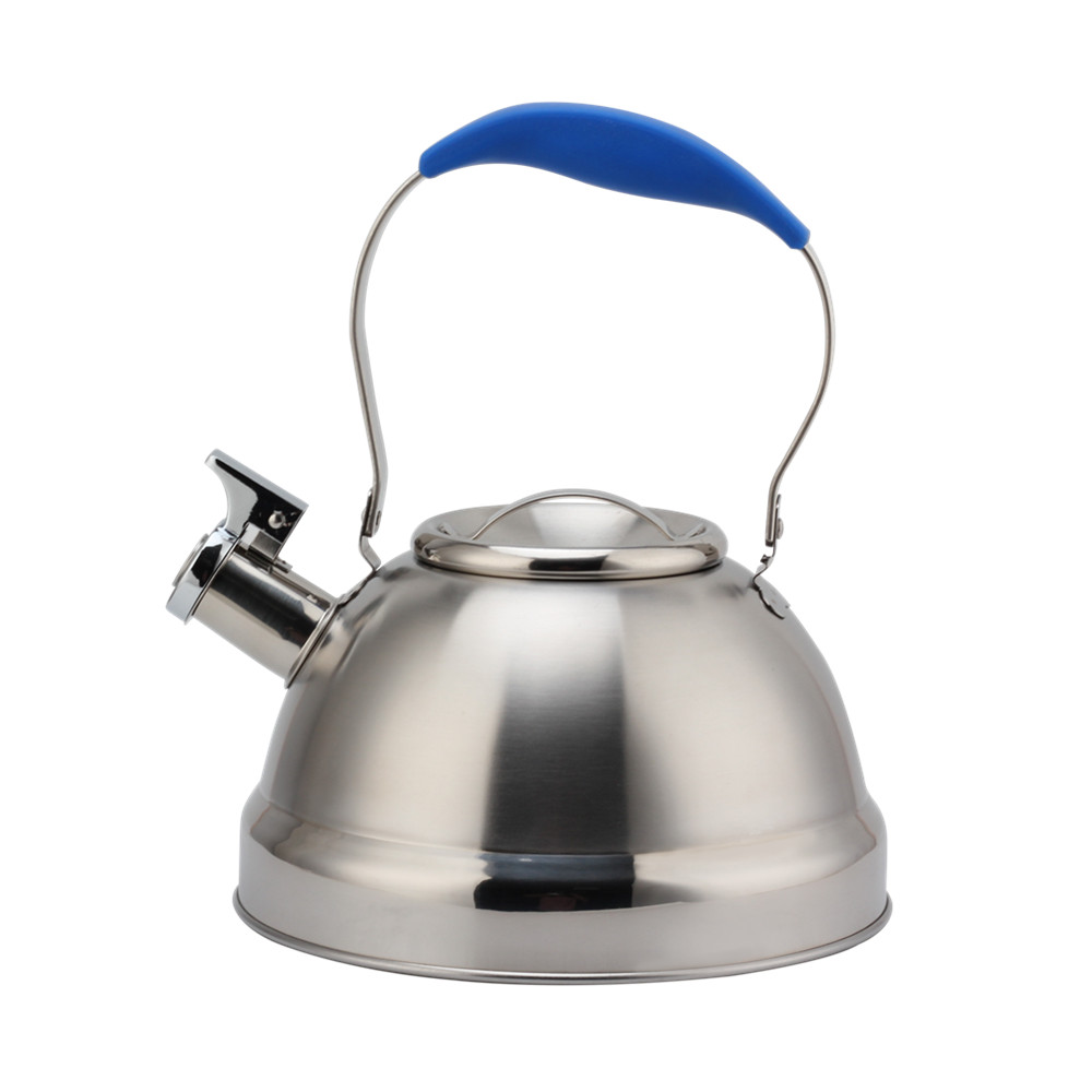 Stainless Steel Whistling Kettle - Tea Kettle for Stove - Blue Handle