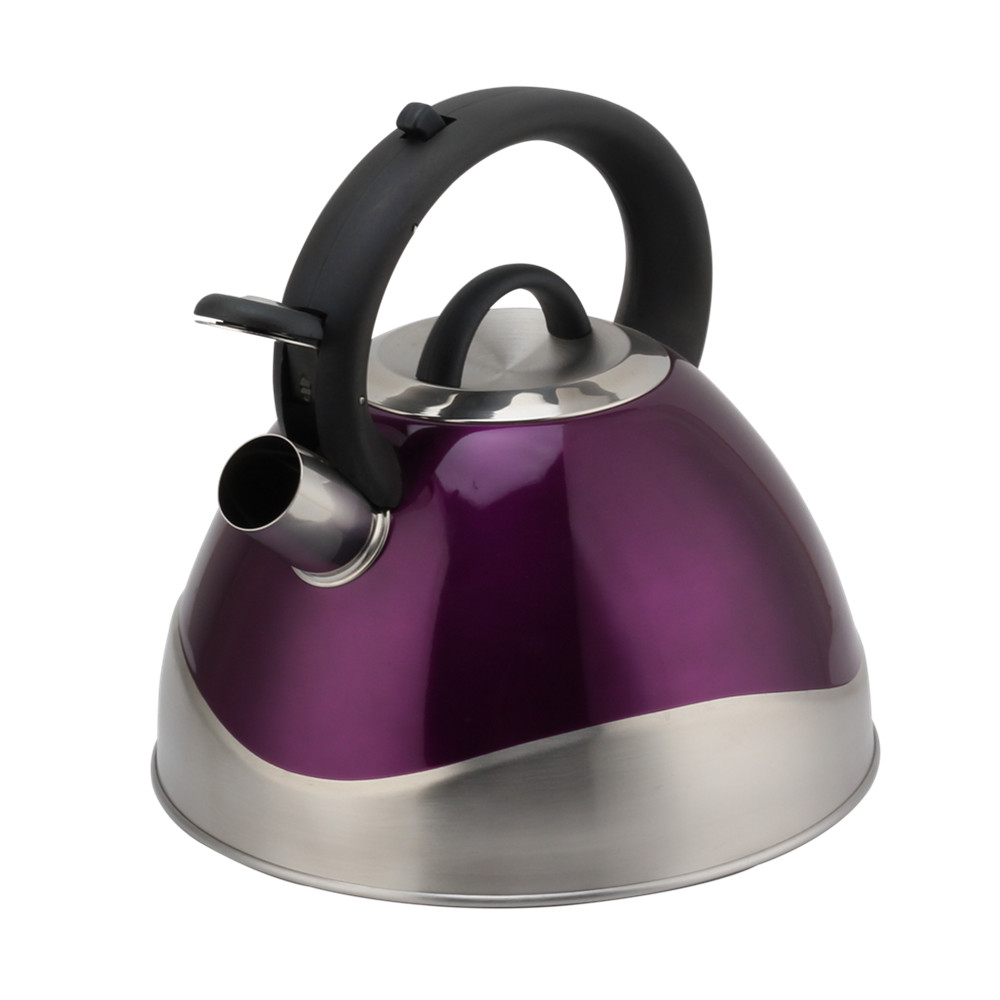 Stainless Steel Whistling Kettle - Tea Kettle for Stove - Teapot Suitable for Induction And Gas