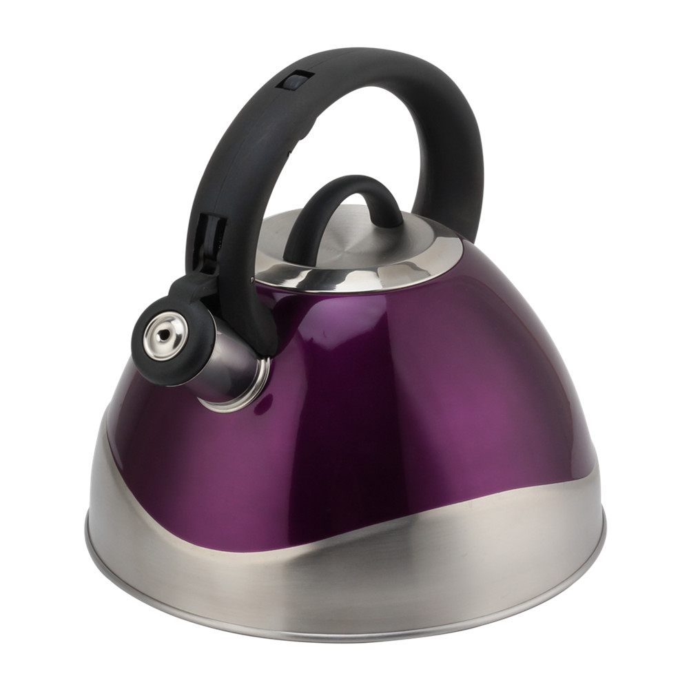 Stainless Steel Whistling Kettle - Tea Kettle for Stove - Teapot Suitable for Induction And Gas