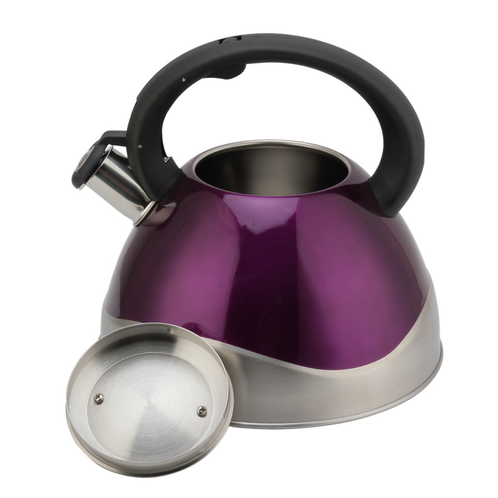 Stainless Steel Whistling Kettle - Tea Kettle for Stove - Teapot Suitable for Induction And Gas