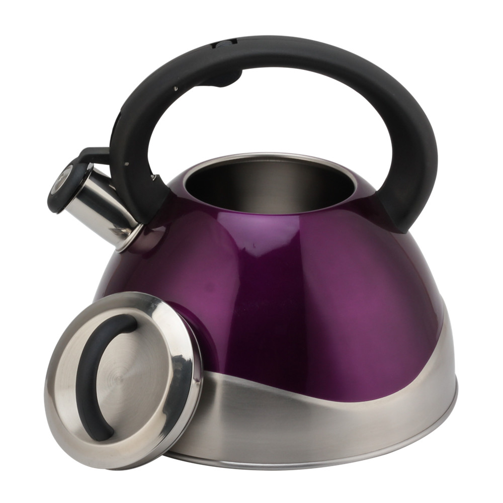 Stainless Steel Whistling Kettle - Tea Kettle for Stove - Teapot Suitable for Induction And Gas