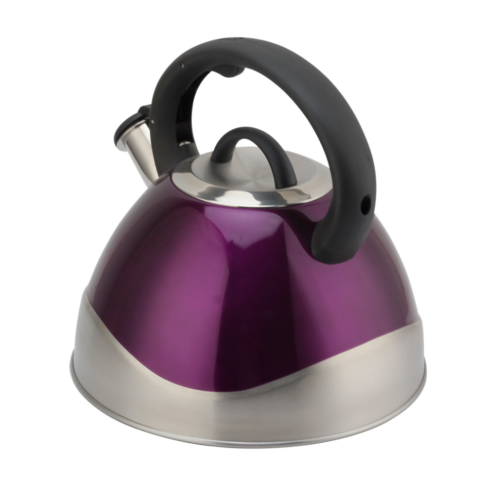 Stainless Steel Whistling Kettle - Tea Kettle for Stove - Teapot Suitable for Induction And Gas