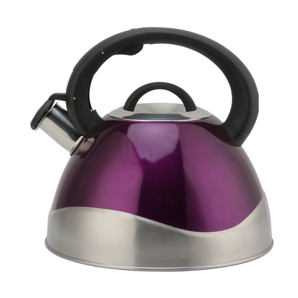 Stainless Steel Whistling Kettle - Tea Kettle for Stove - Teapot Suitable for Induction And Gas