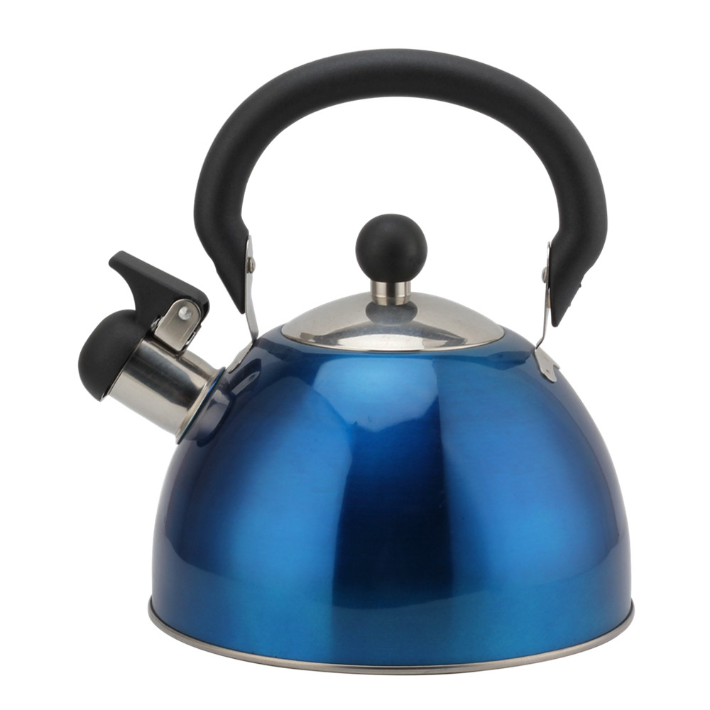 Stainless Steel Whistling Kettle (Blue)