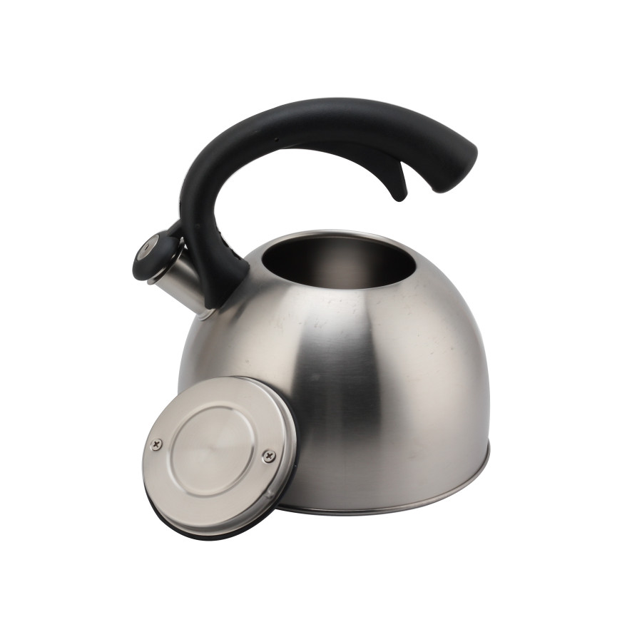 Whistling Teapot With Handle for Induction And Gas