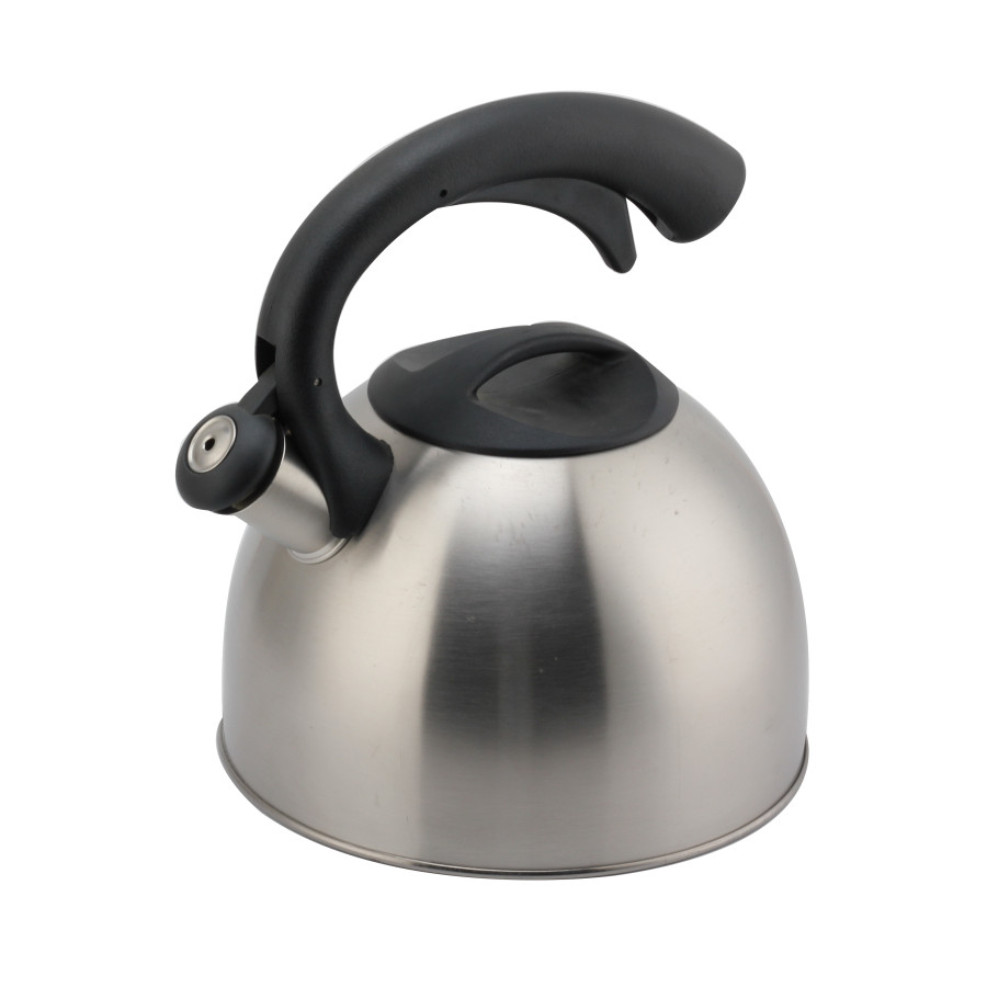 Whistling Teapot With Handle for Induction And Gas