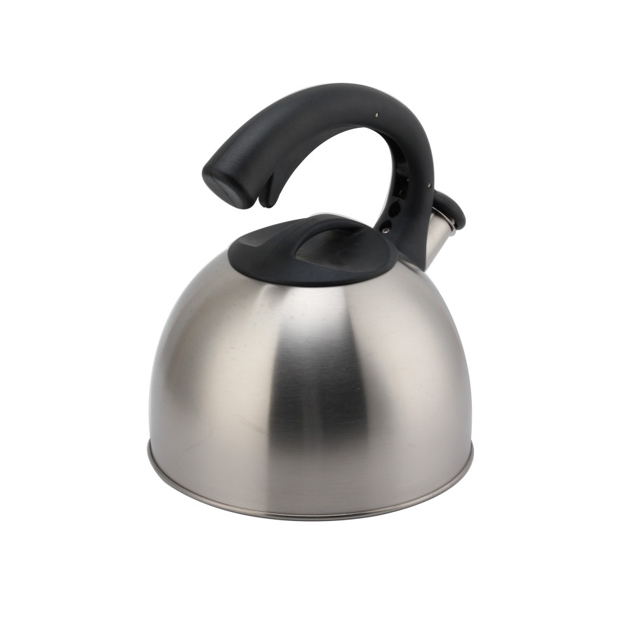 Whistling Teapot With Handle for Induction And Gas