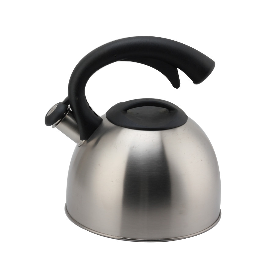 Whistling Teapot With Handle for Induction And Gas