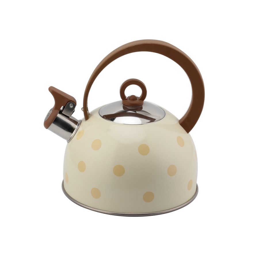 Stainless Steel Whistling Kettle for Tea