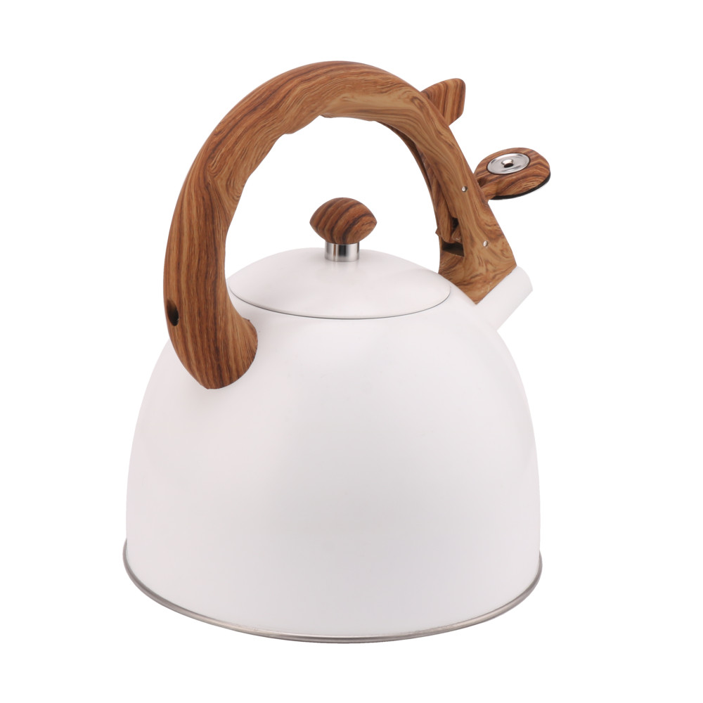 Whistling Tea Kettle-Cooker Induction-Stainless Steel Teapot Quick Kettle for Kitchen