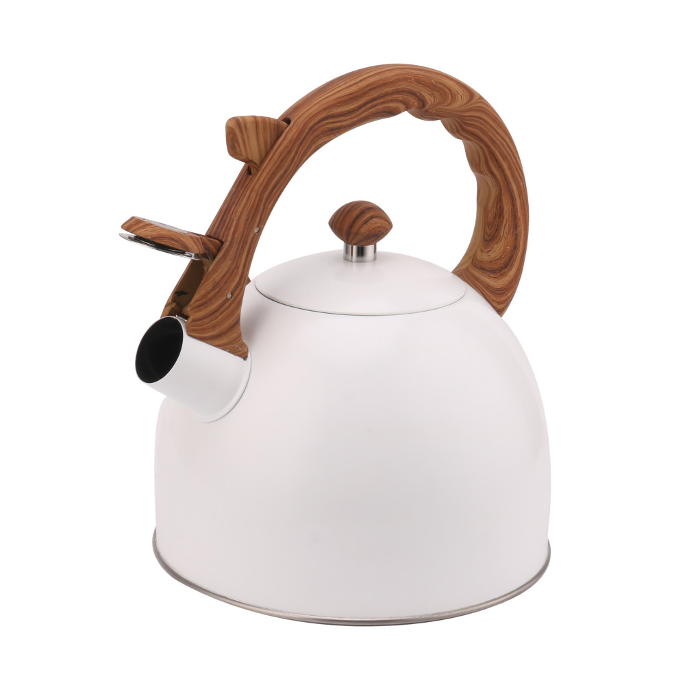 Whistling Tea Kettle-Cooker Induction-Stainless Steel Teapot Quick Kettle for Kitchen