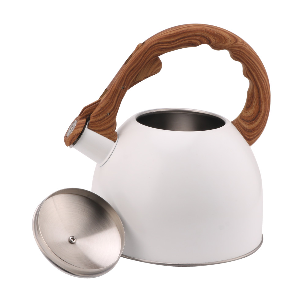 Whistling Tea Kettle-Cooker Induction-Stainless Steel Teapot Quick Kettle for Kitchen