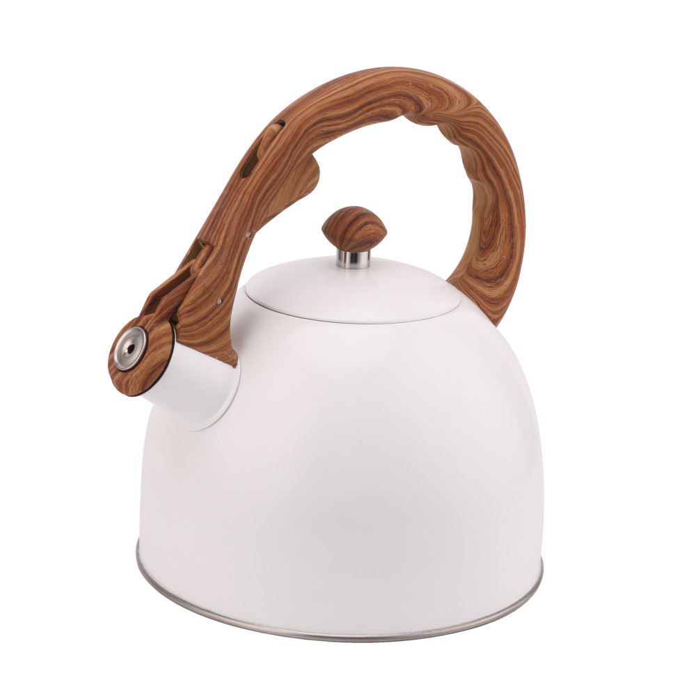 Whistling Tea Kettle-Cooker Induction-Stainless Steel Teapot Quick Kettle for Kitchen