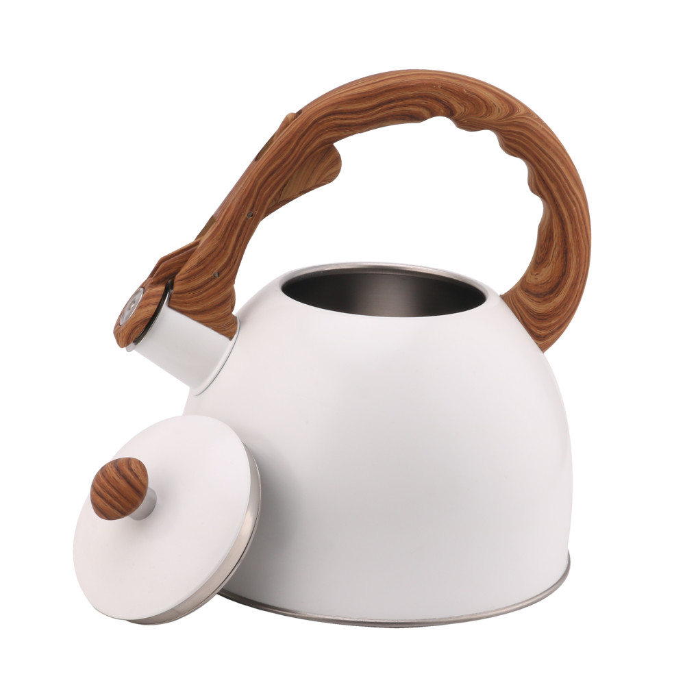 Whistling Tea Kettle-Cooker Induction-Stainless Steel Teapot Quick Kettle for Kitchen