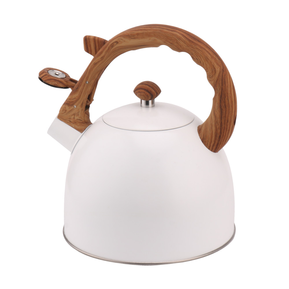 Whistling Tea Kettle-Cooker Induction-Stainless Steel Teapot Quick Kettle for Kitchen