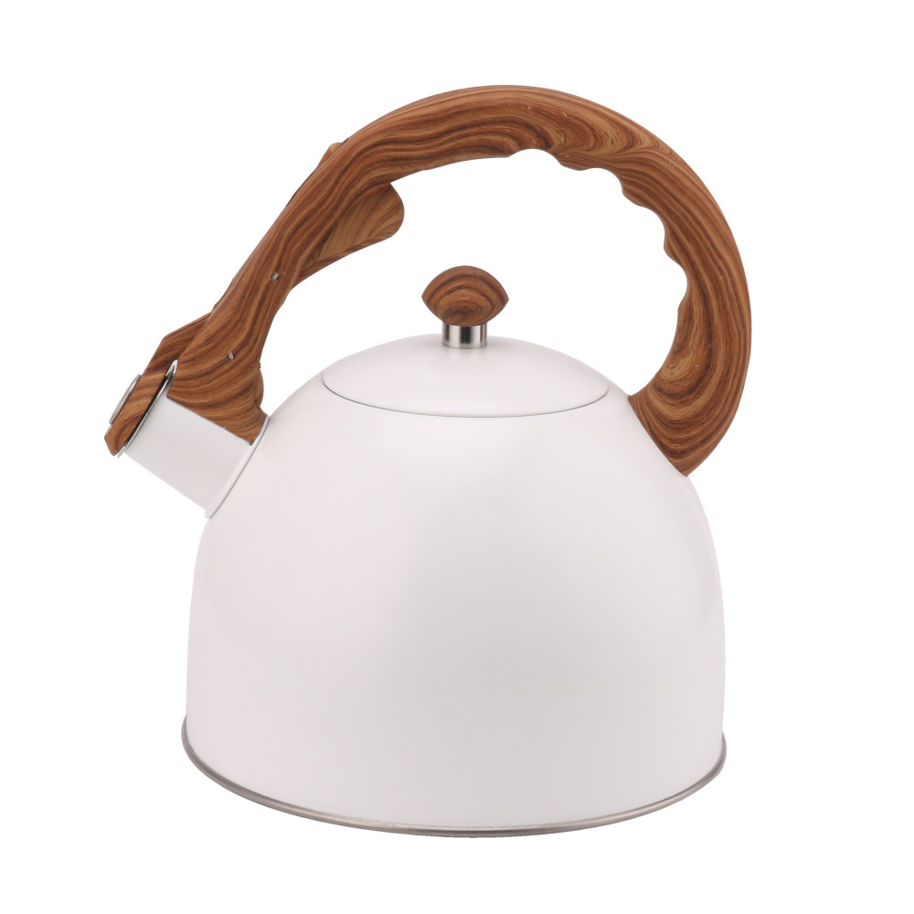 Whistling Tea Kettle-Cooker Induction-Stainless Steel Teapot Quick Kettle for Kitchen