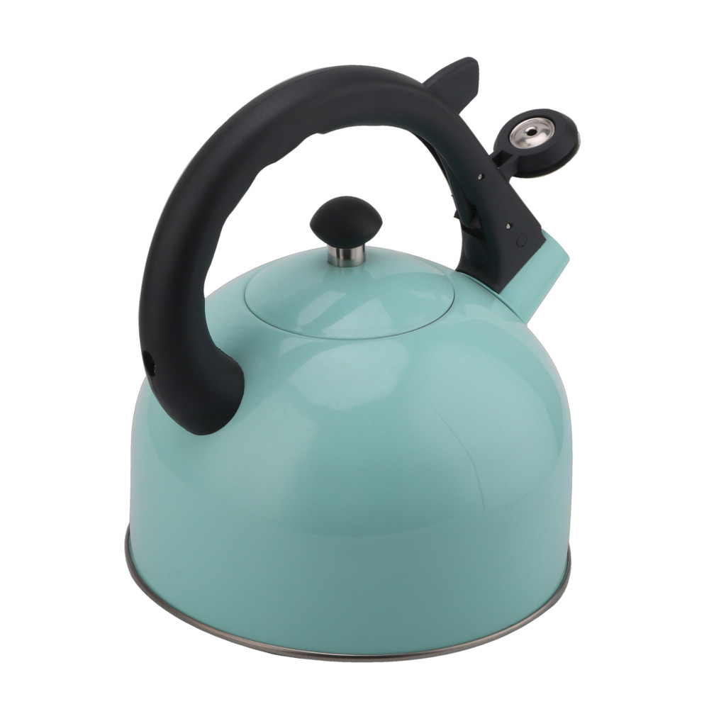 Whistling Tea Kettle-Stainless Steel Teapot Quick Kettle for Kitchen