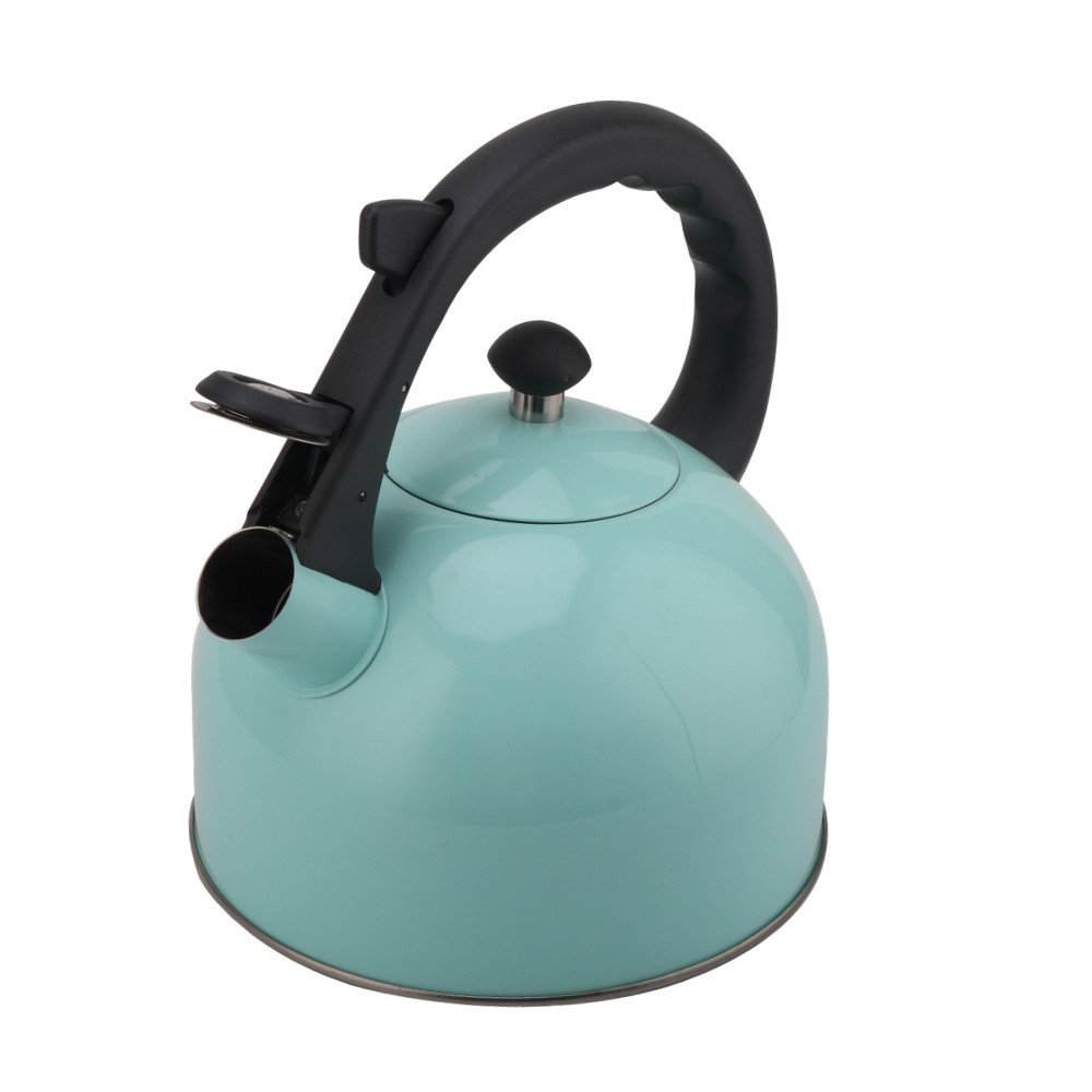 Whistling Tea Kettle-Stainless Steel Teapot Quick Kettle for Kitchen