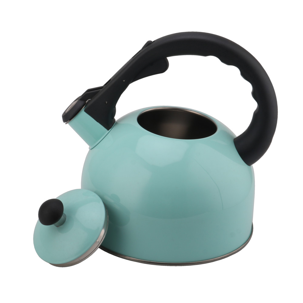 Whistling Tea Kettle-Stainless Steel Teapot Quick Kettle for Kitchen