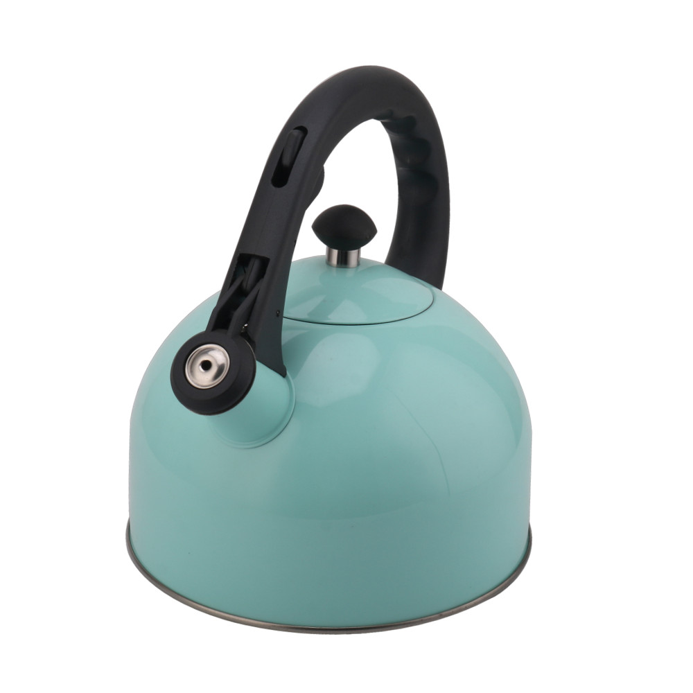 Whistling Tea Kettle-Stainless Steel Teapot Quick Kettle for Kitchen