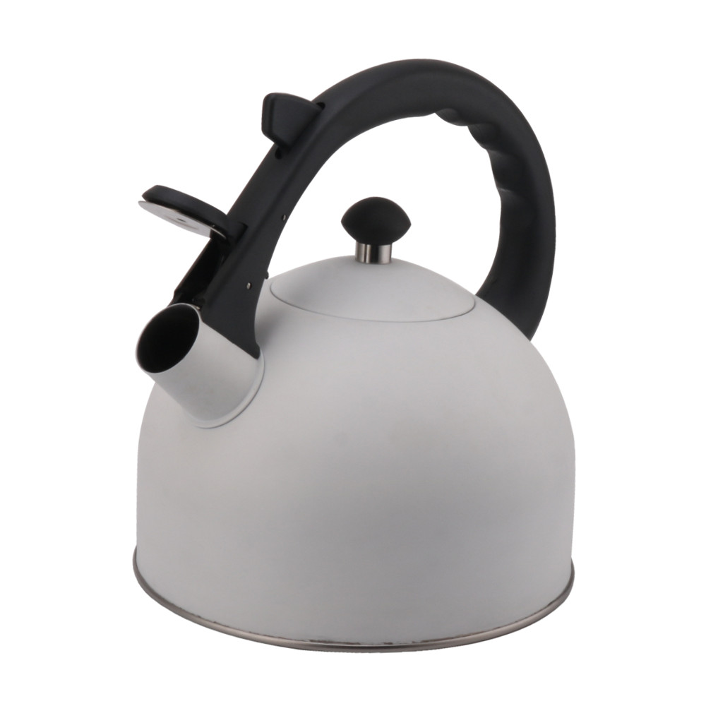 Stainless Steel Whistling Tea Kettle-White