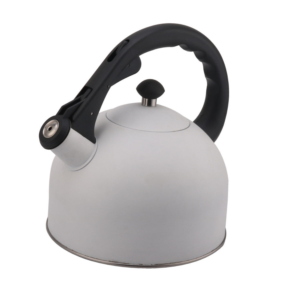 Stainless Steel Whistling Tea Kettle-White