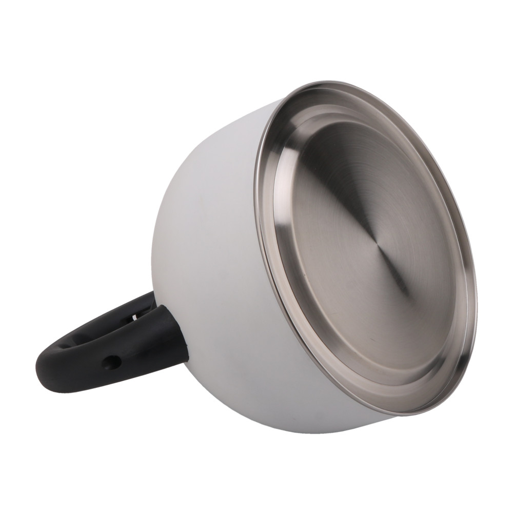 Stainless Steel Whistling Tea Kettle-White