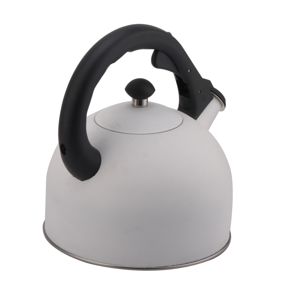 Stainless Steel Whistling Tea Kettle-White