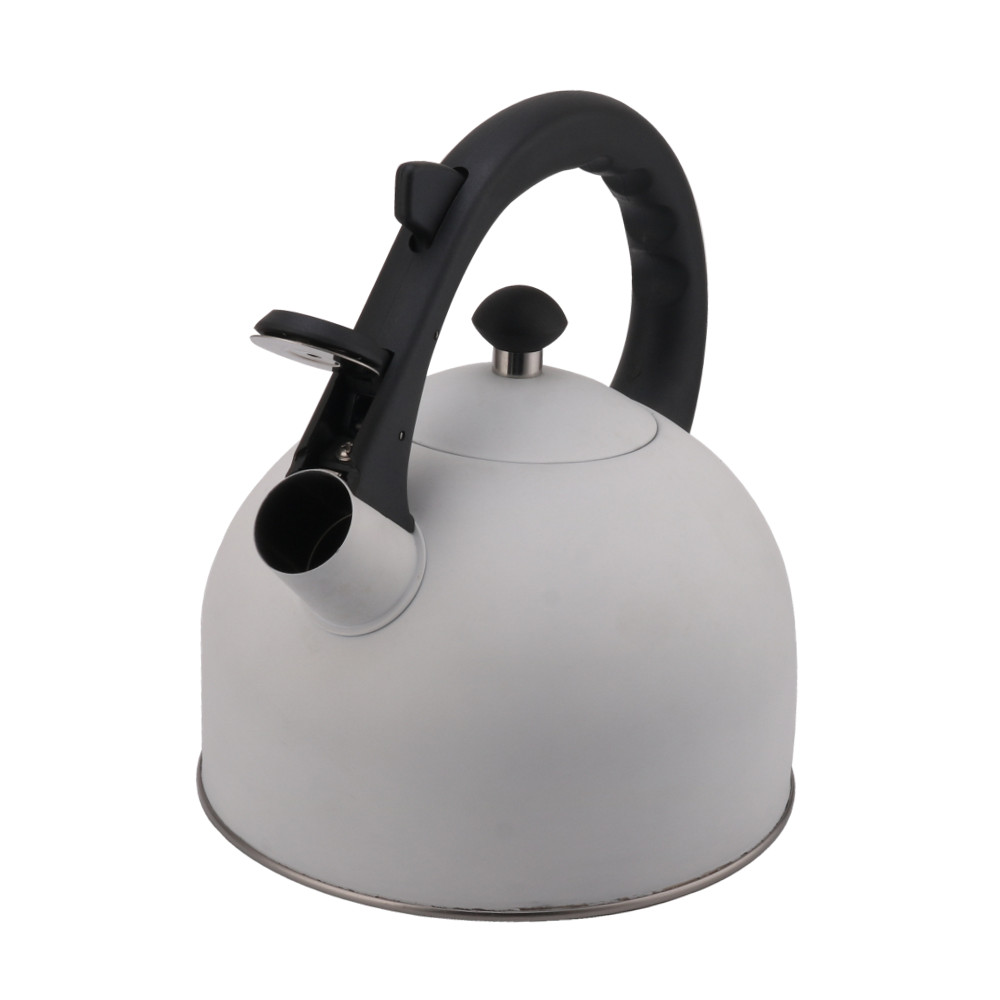 Stainless Steel Whistling Tea Kettle-White