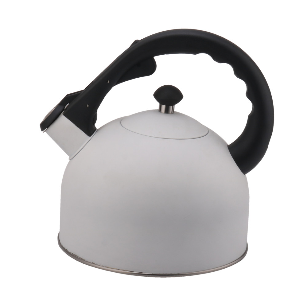 Stainless Steel Whistling Tea Kettle-White