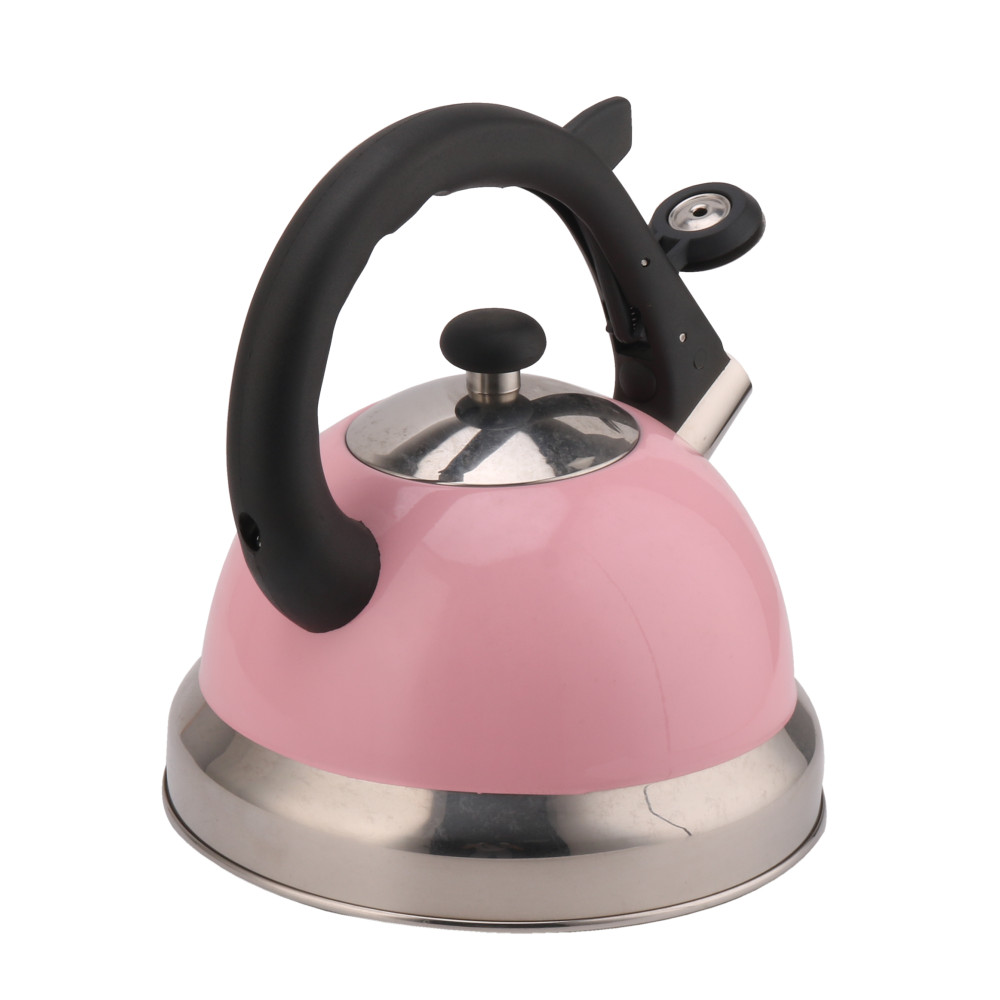 Stainless Steel Whistling Tea Kettle-Pink