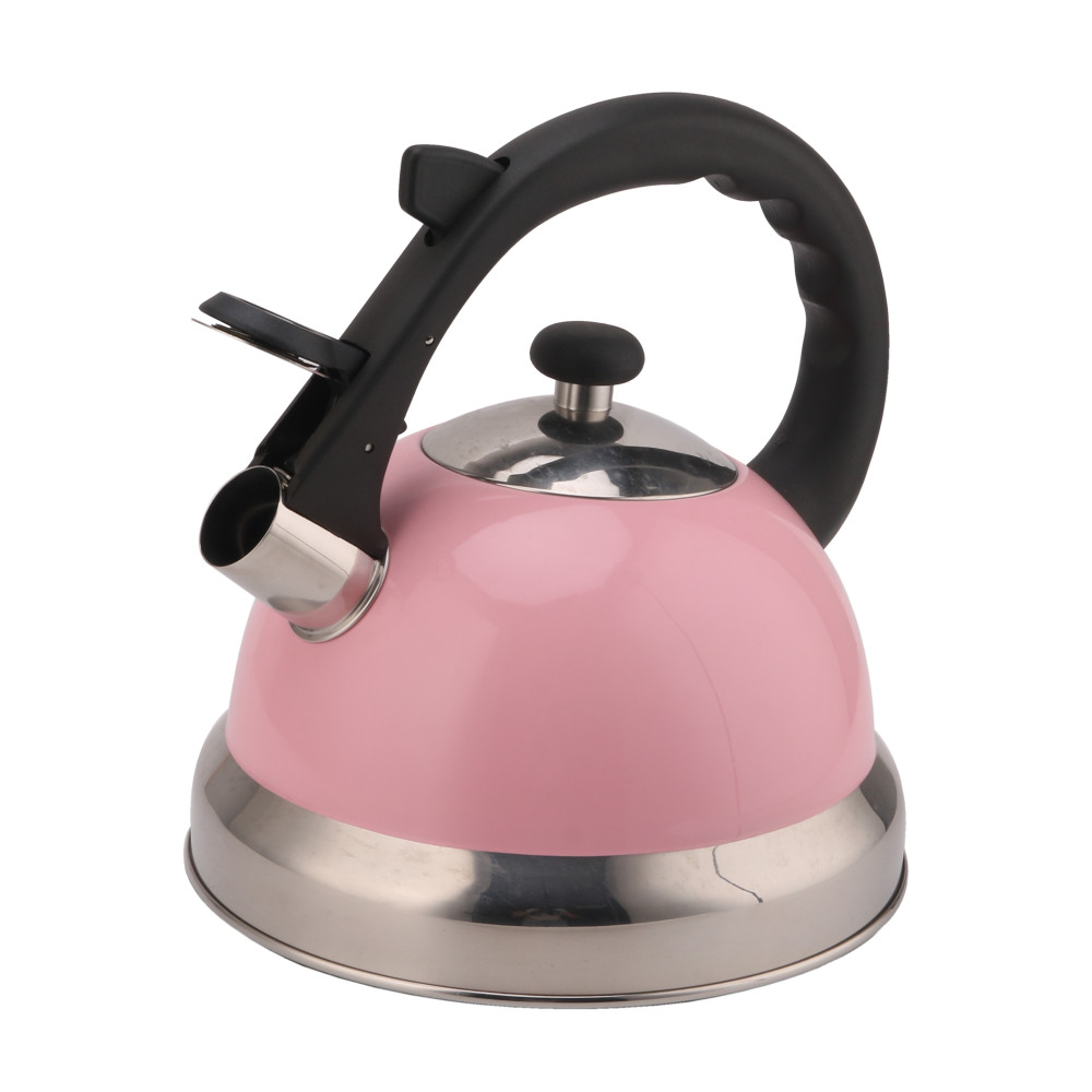 Stainless Steel Whistling Tea Kettle-Pink