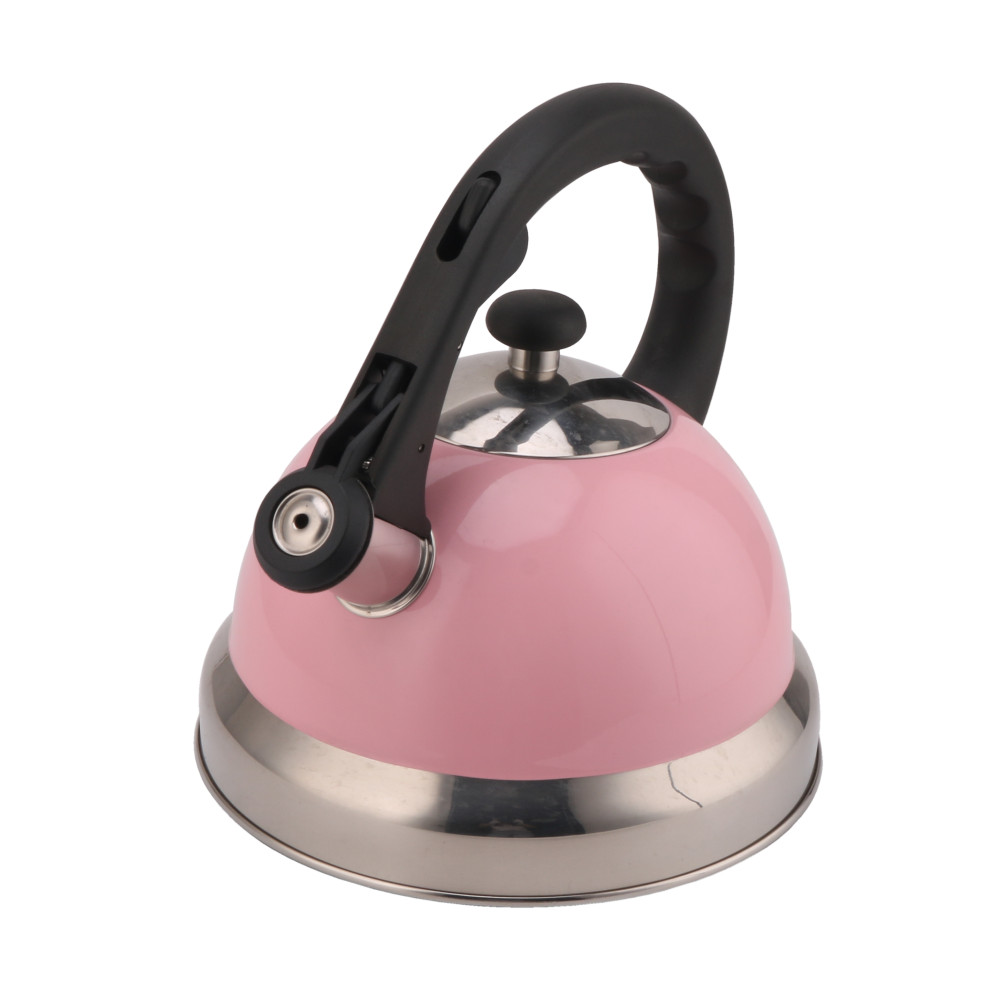 Stainless Steel Whistling Tea Kettle-Pink