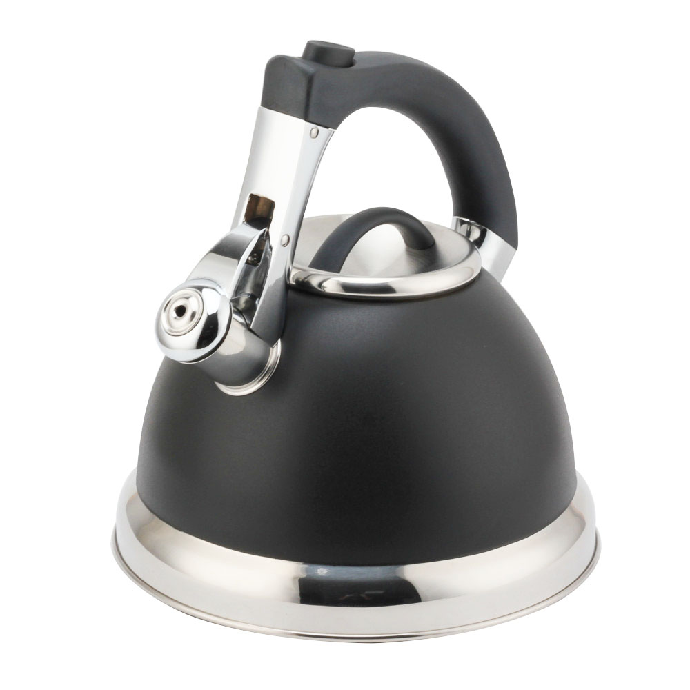 S/S Whistling Kettle With Handle