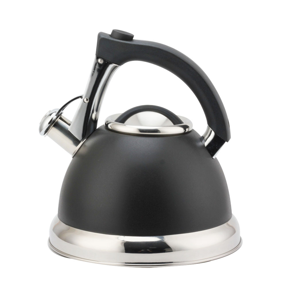 S/S Whistling Kettle With Handle