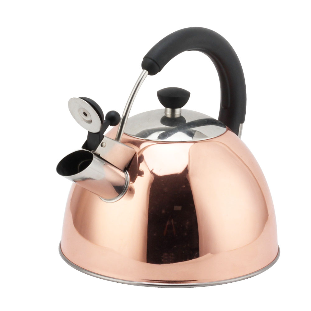 Modern S/S Whistling Kettle for Kitchen