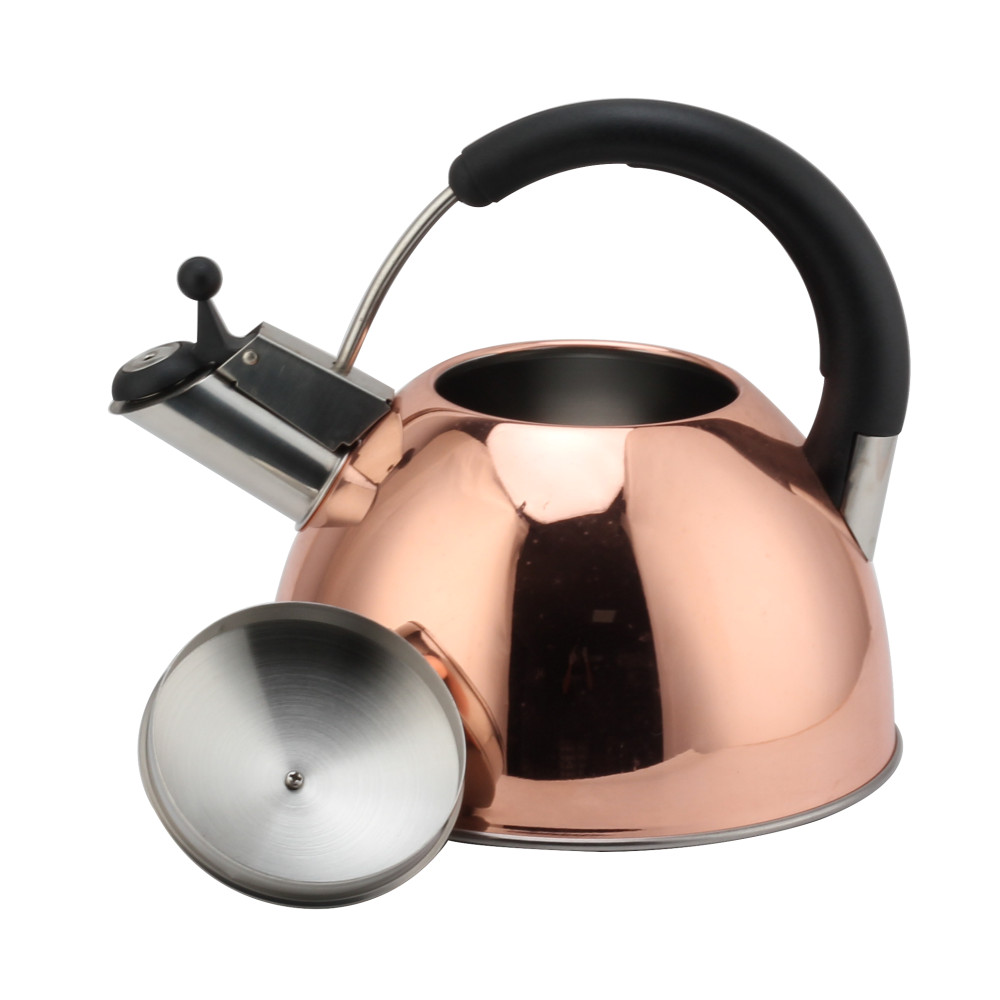 Modern S/S Whistling Kettle for Kitchen