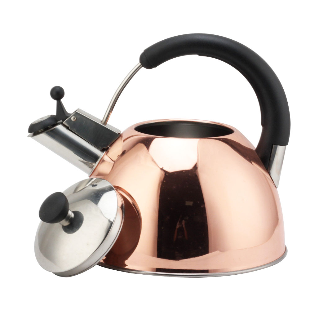 Modern S/S Whistling Kettle for Kitchen