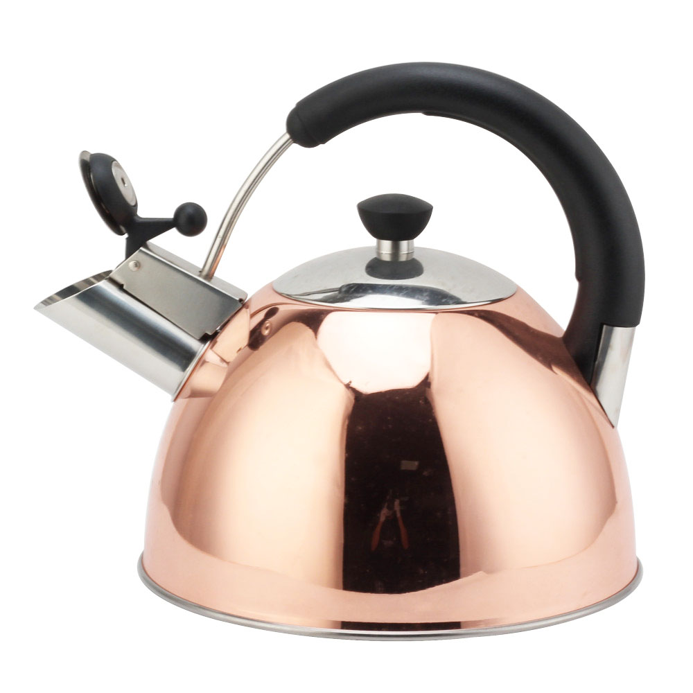 Modern S/S Whistling Kettle for Kitchen