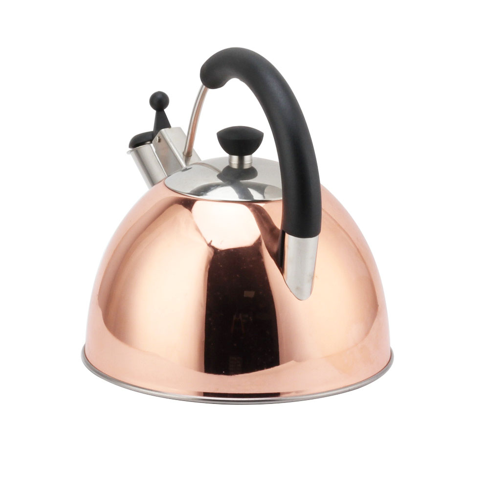 Modern S/S Whistling Kettle for Kitchen