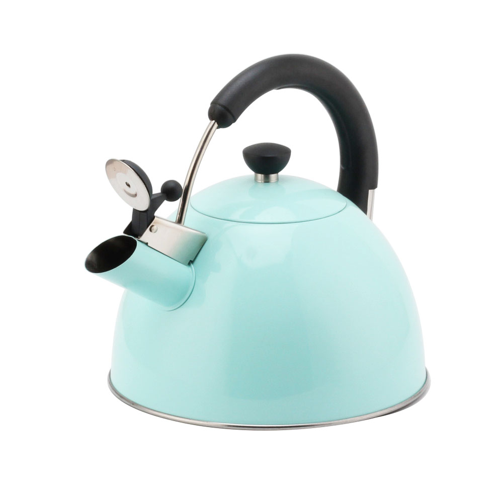 Modern S/S Whistling Kettle for Kitchen Light Color