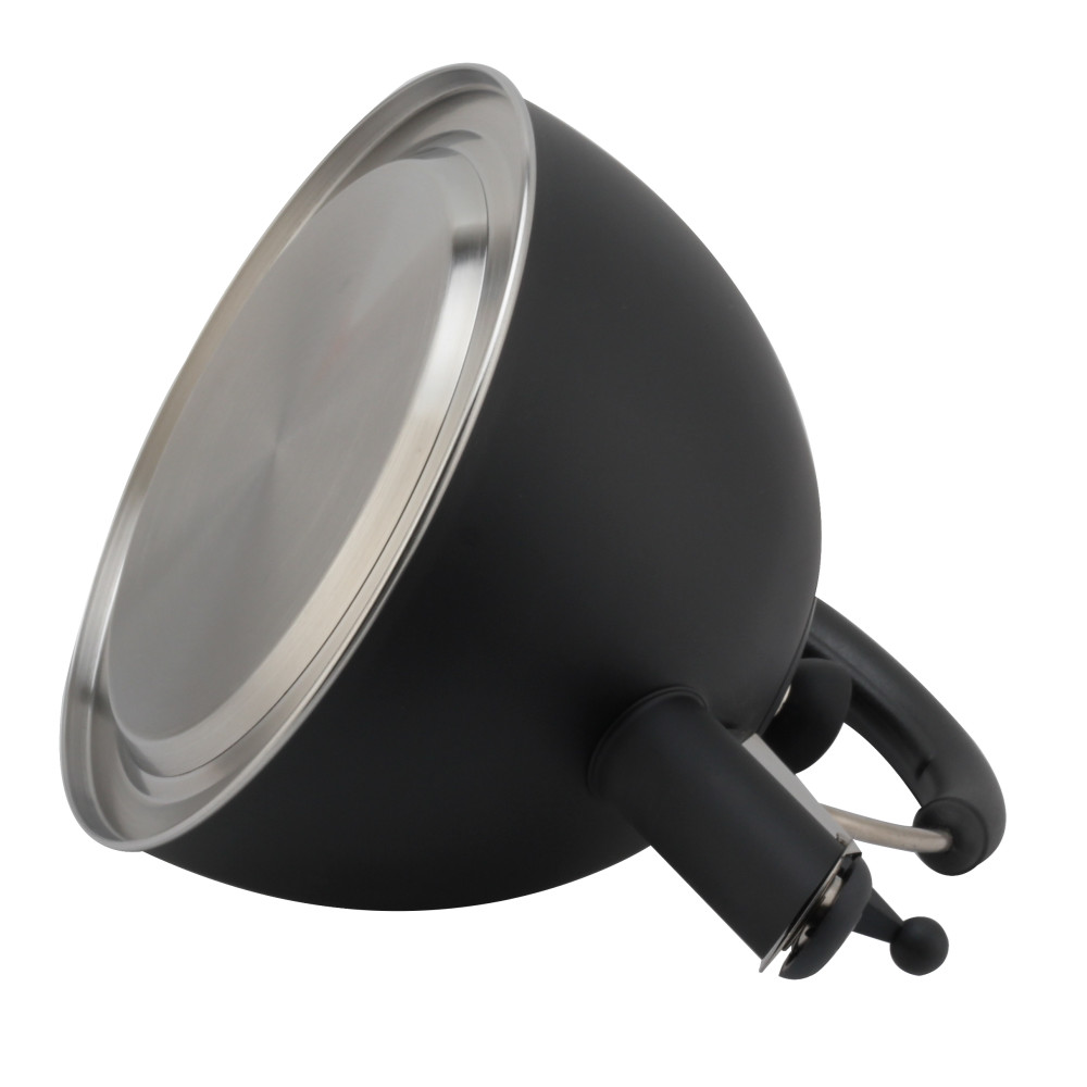 Modern S/S Whistling Kettle for Kitchen Black