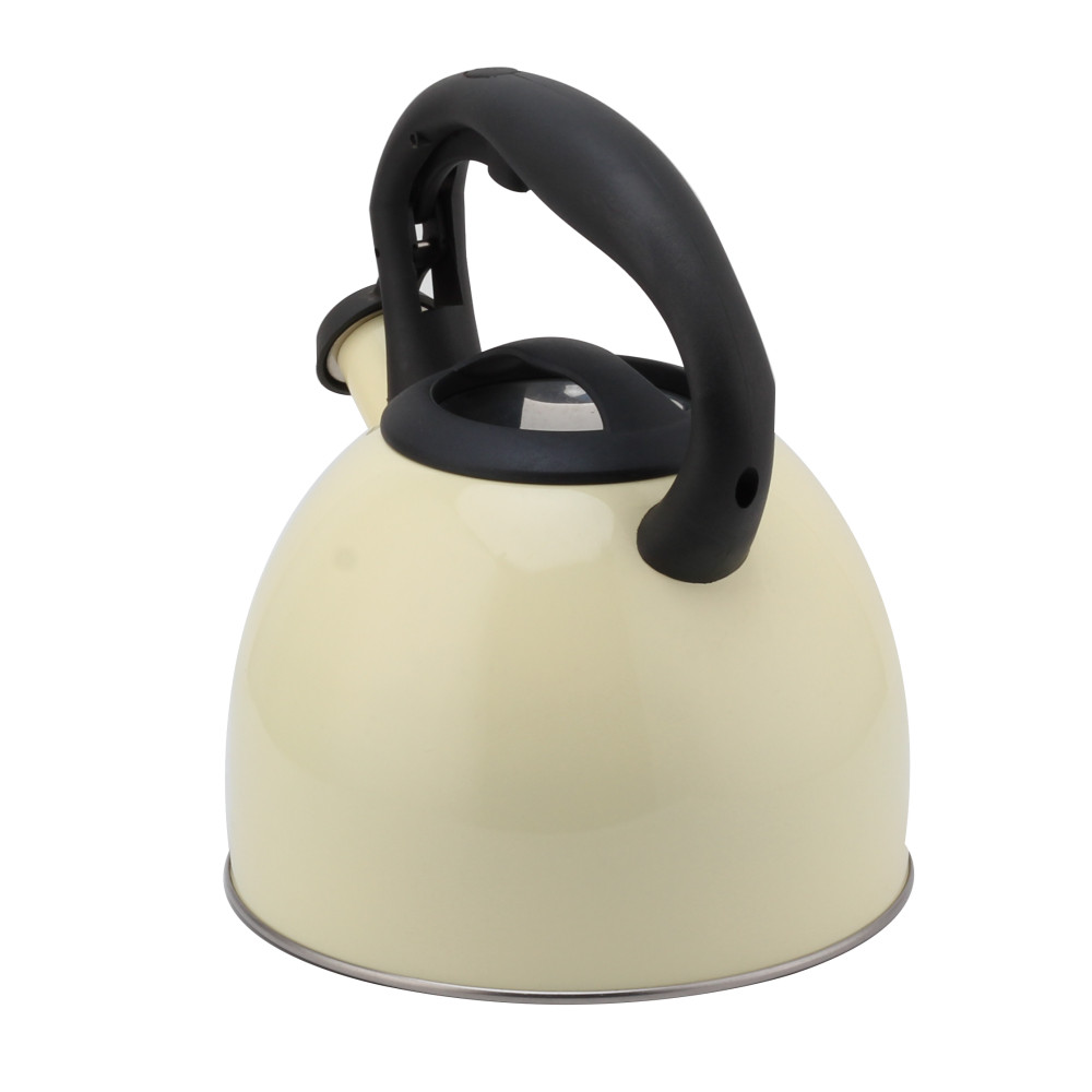 Fashionable S/S Whistling Kettle for Kitchen-Light Color