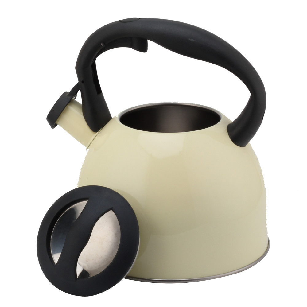 Fashionable S/S Whistling Kettle for Kitchen-Light Color