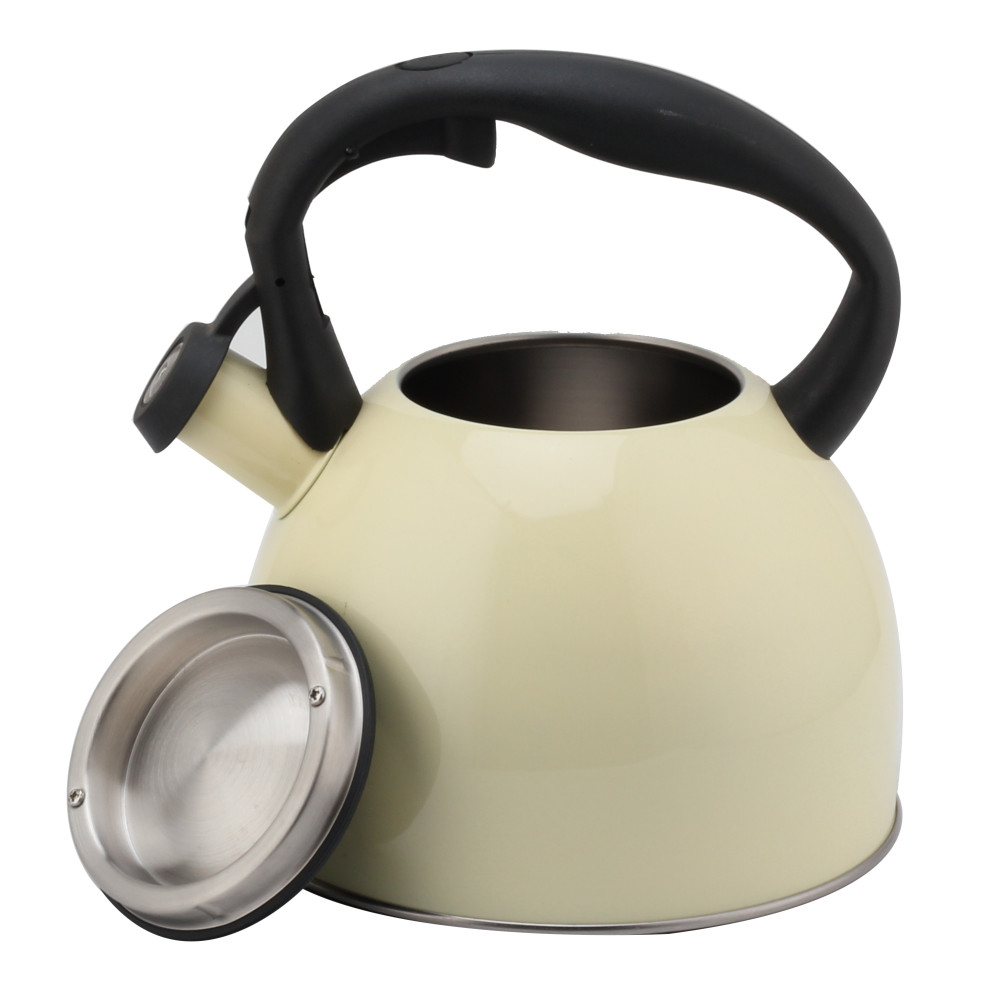 Fashionable S/S Whistling Kettle for Kitchen-Light Color