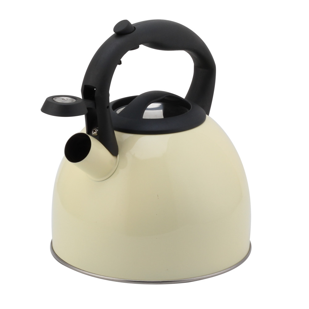 Fashionable S/S Whistling Kettle for Kitchen-Light Color