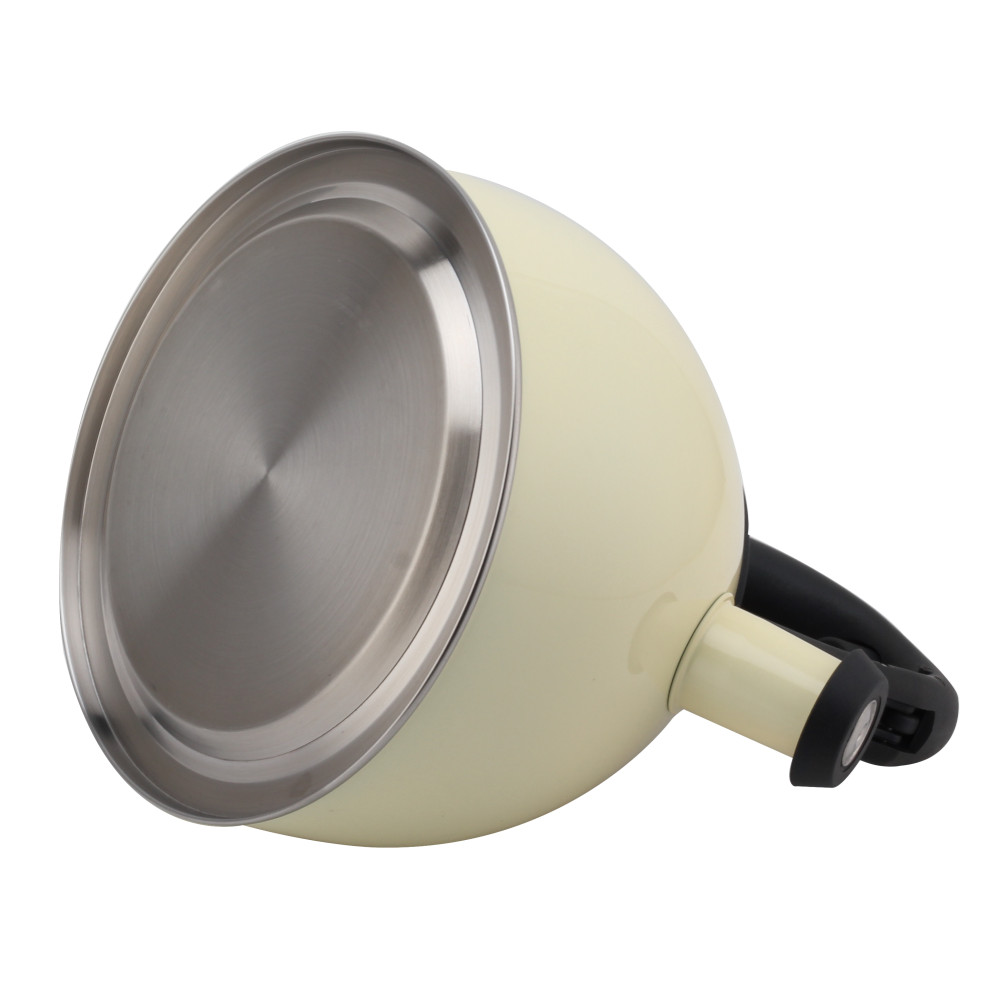 Fashionable S/S Whistling Kettle for Kitchen-Light Color